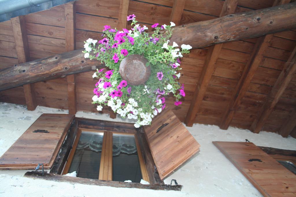 Chambre D'Hotes La Romarine Barnave Zewnętrze zdjęcie