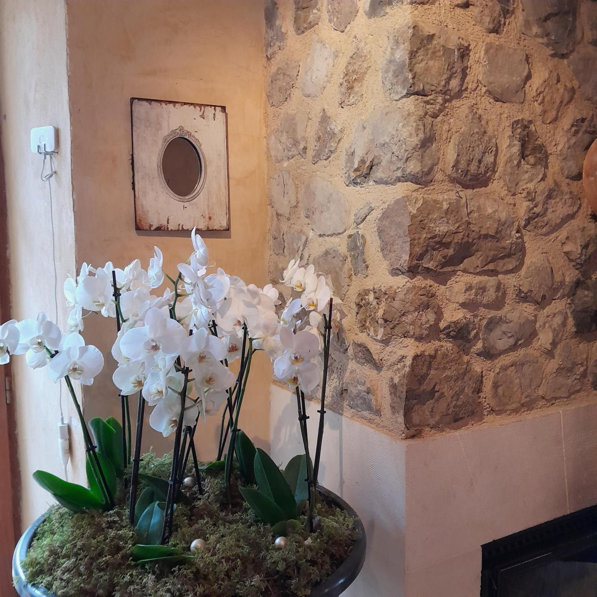 Chambre D'Hotes La Romarine Barnave Zewnętrze zdjęcie