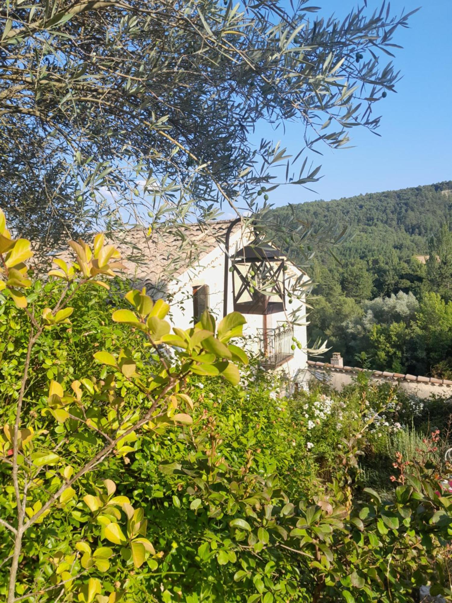 Chambre D'Hotes La Romarine Barnave Zewnętrze zdjęcie