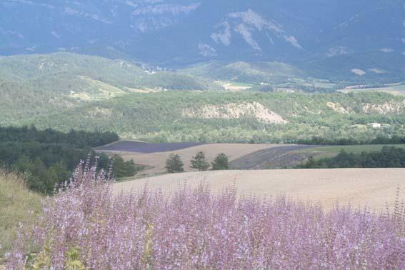 Chambre D'Hotes La Romarine Barnave Zewnętrze zdjęcie
